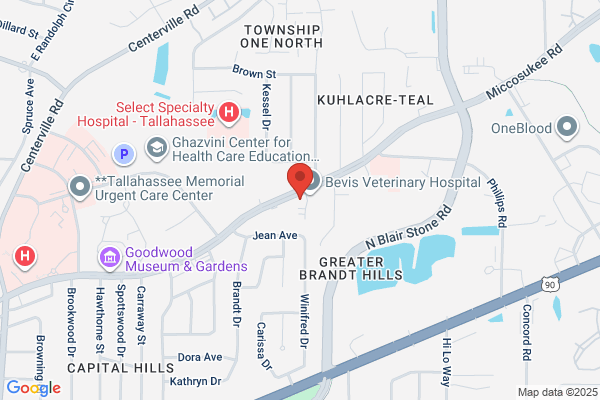 North Florida Sports Medicine & Orthopaedic Center