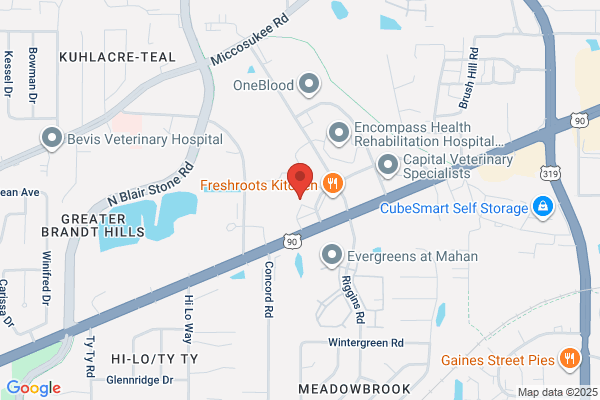 Regional Therapy Services Inc