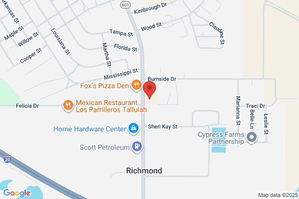 Richardson David CPA