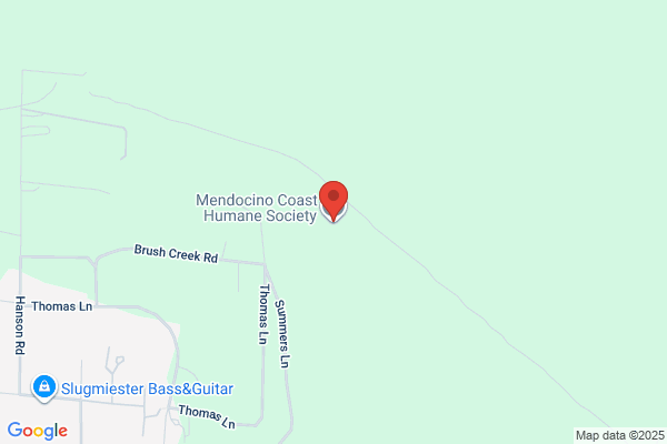 Mendocino Spay Neuter Asst Program