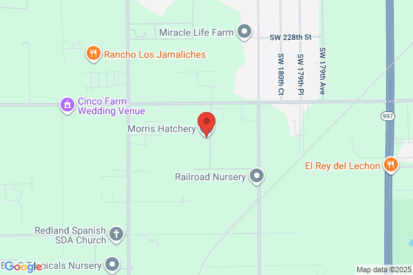 Morris Hatchery Inc