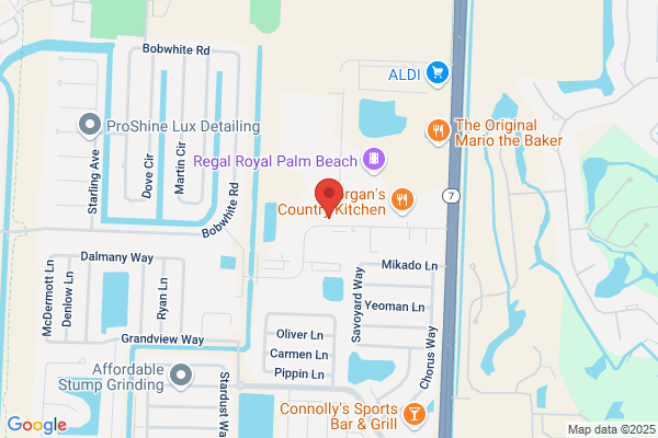 Palm Auto Service Center