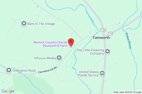 Remick Dexter & Son Inc