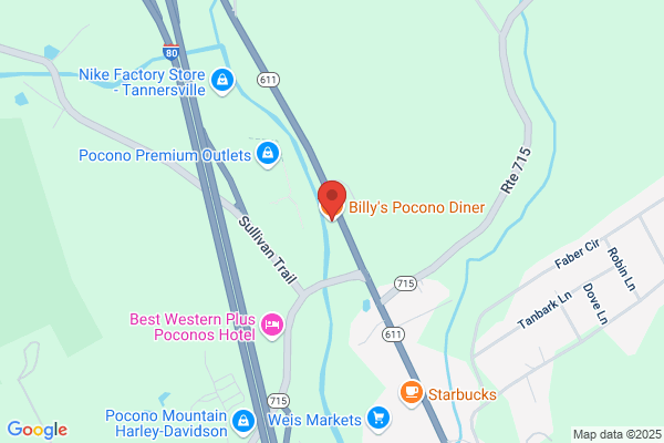 Billy's Pocono Diner