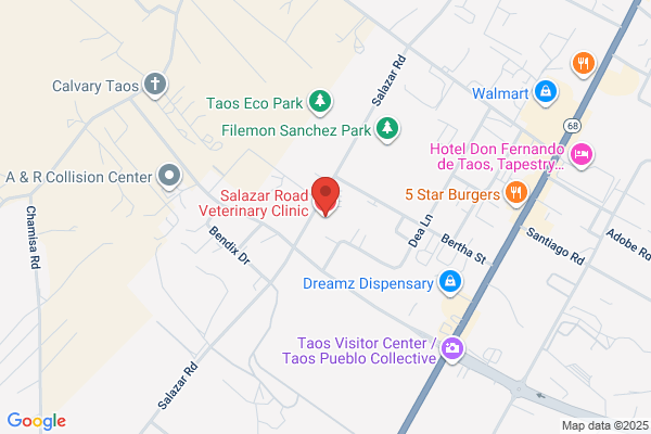 Salazar Road Veterinary Clinic
