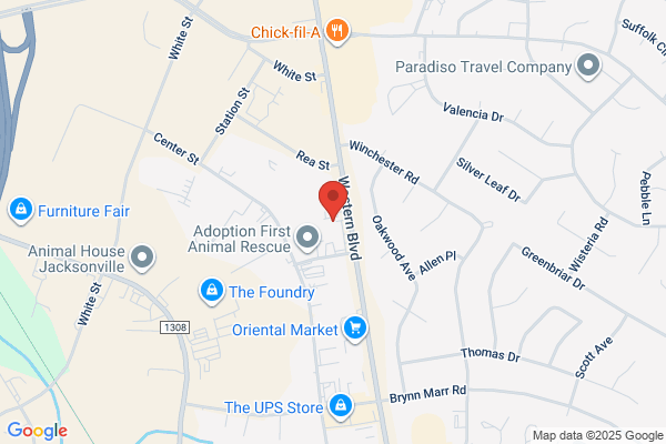 Academy Animal Hospital PA