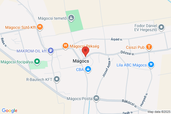 Magoc's Salon