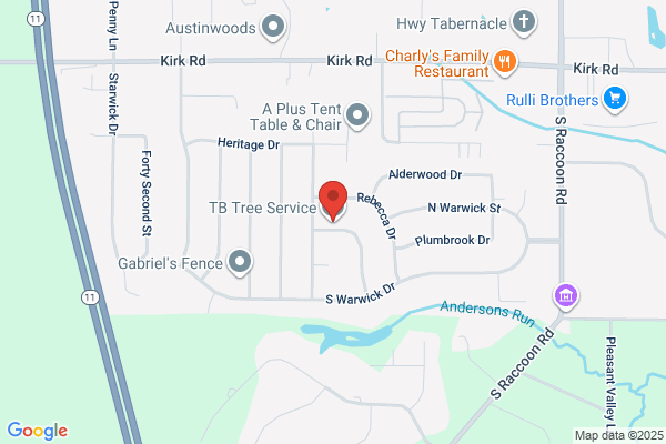 T&B Tree Removal & Landscaping