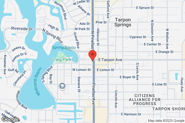 Impressions of Tampa Bay
