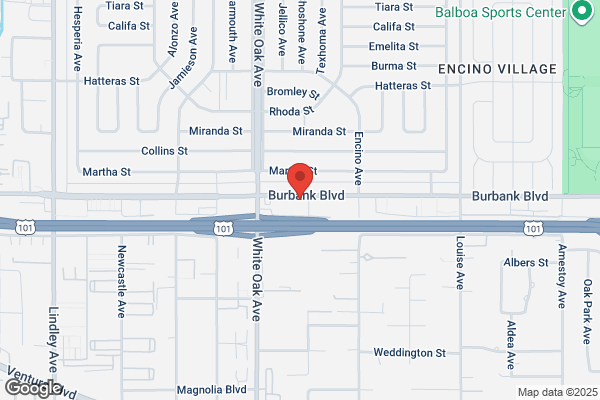 Encino Palms