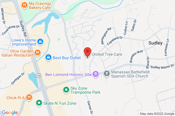 United Tree Service