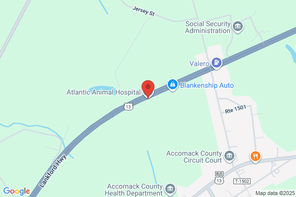 Accomack Animal Hospital