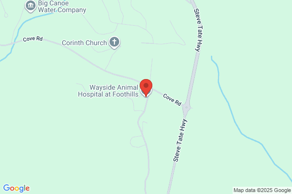 Animal Clinic At Foothills