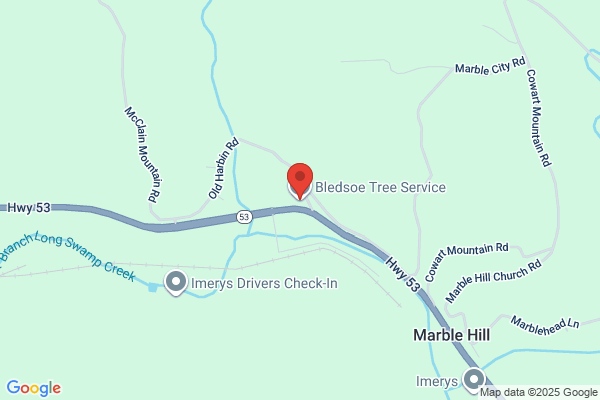 Bledsoe Tree Service, LLC