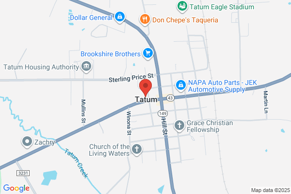 Tatum Financial Service