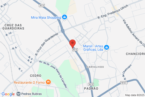 Ricardo Ribeiro, MD