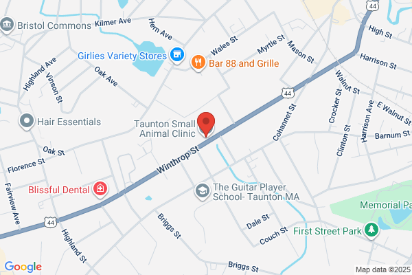 Taunton Small Animal Clinic