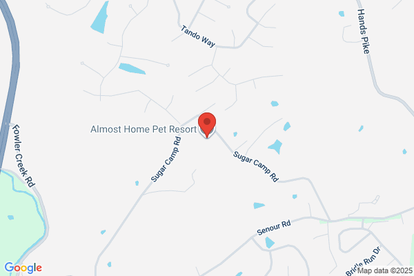 Almost Home Pet Resort Inc.