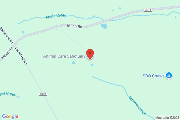 Animal Care Association