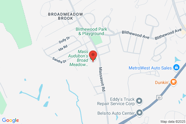 Meadow Brook Conservation Associates