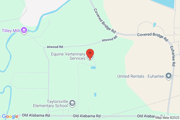 Equine Veterinary Service