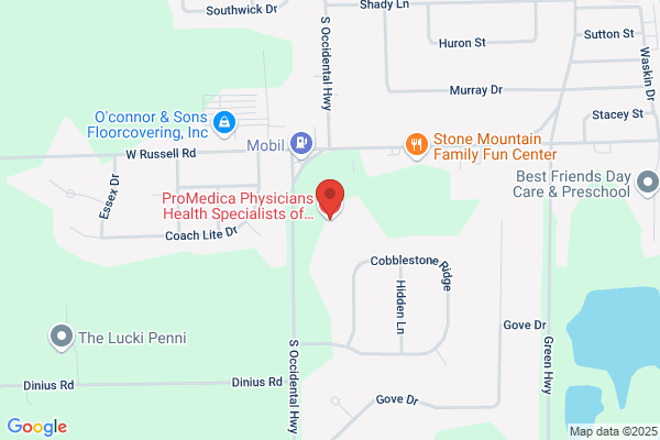 Health Specialists Of Lenawee, P.C.