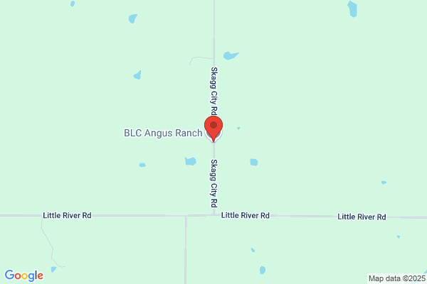 Blc Angus Ranch