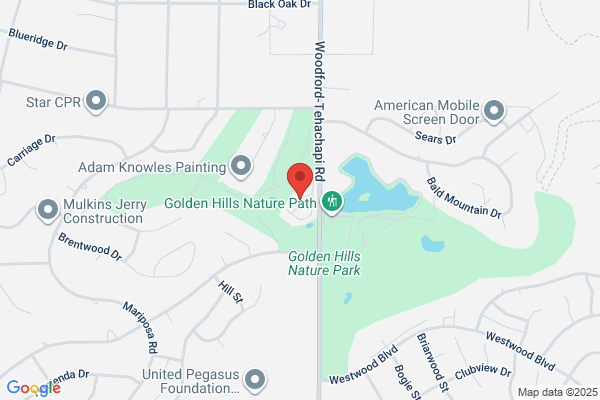Willow Tree Apartments