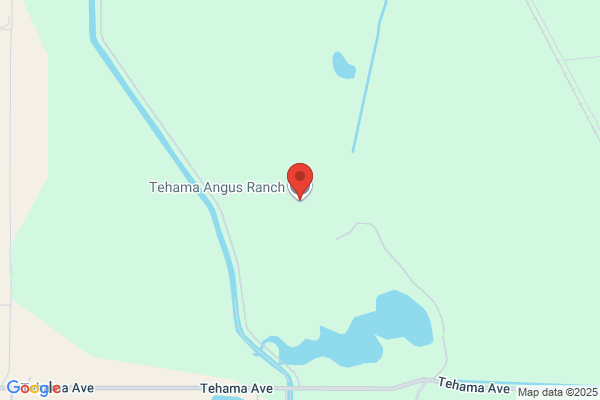 Tehama Angus Ranch