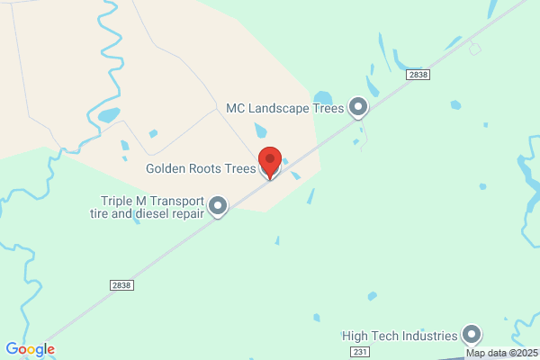 Golden Roots Trees Llc