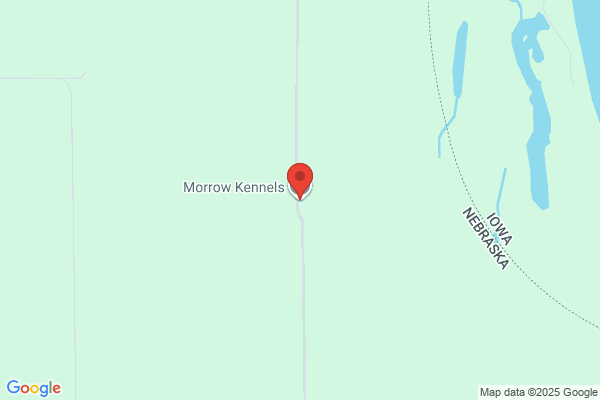 Morrow Kennels