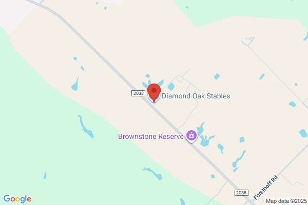 Diamond Oak Stables