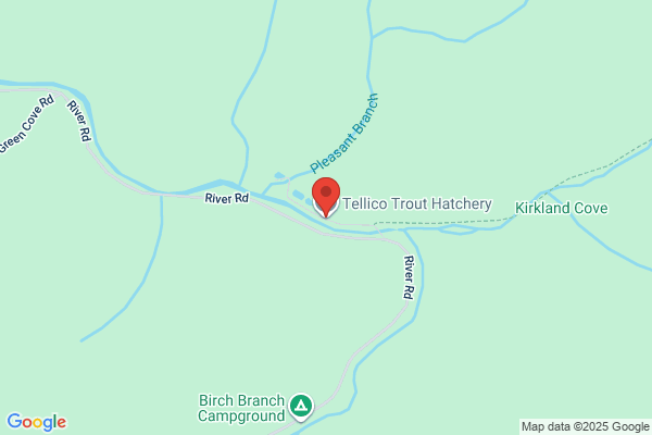Tellico Trout Hatchery