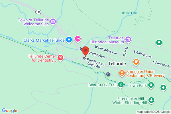 Telluride Services Llc
