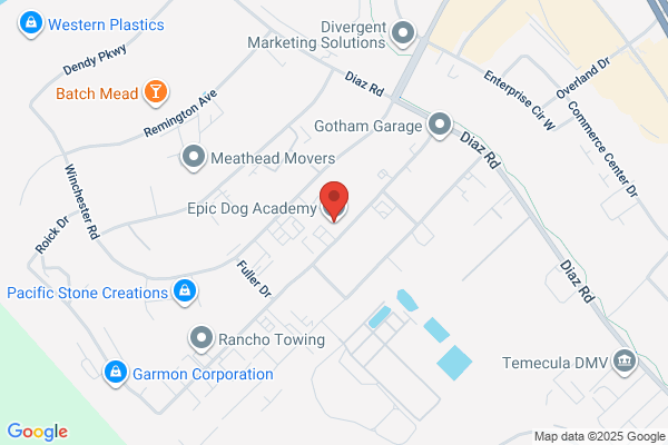 Epic Dog Academy LLC
