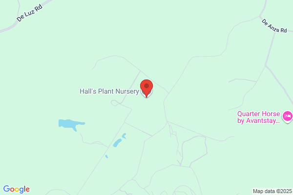 Noltre Nursery Services