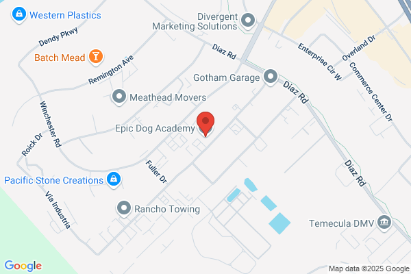 Red Dog Dog Training & Boarding Center