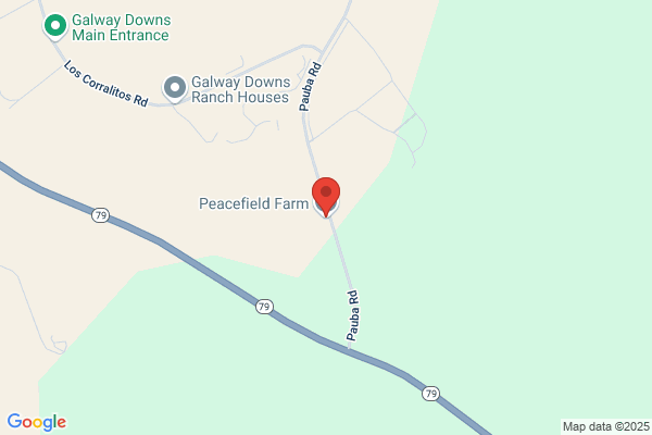 Peacefield Inc