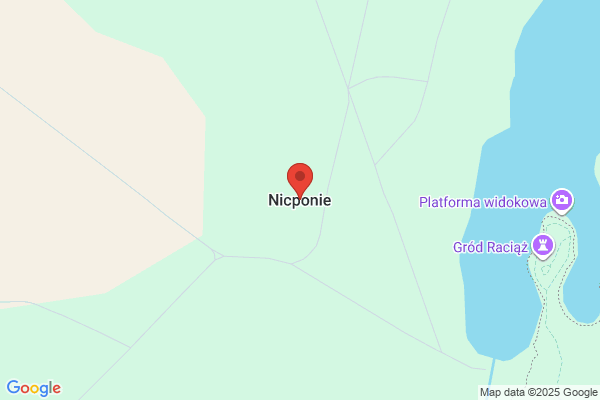 Nicpon Group