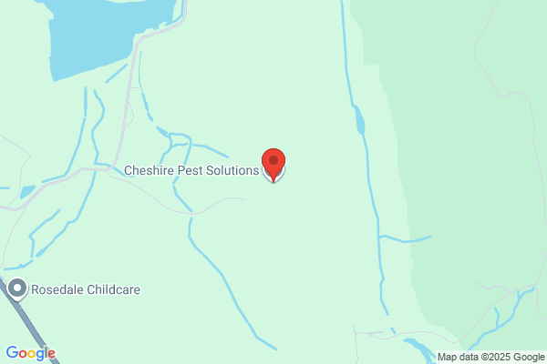 Cheshire Cat Pest & Termite Control