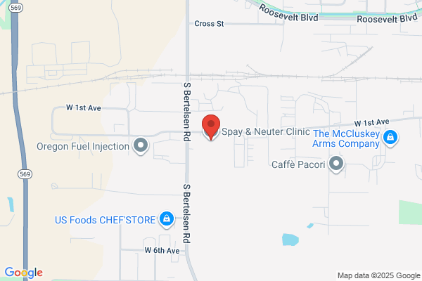Spay Neuter Clinic