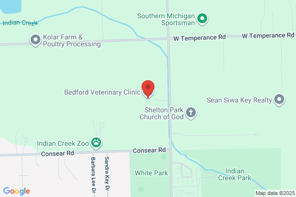 Bedford Veterinary Clinic