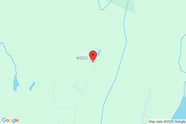 Wsdg Inc