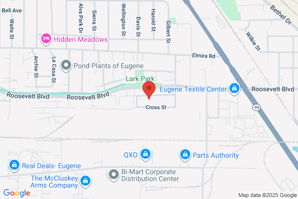Option Collision Center Inc.