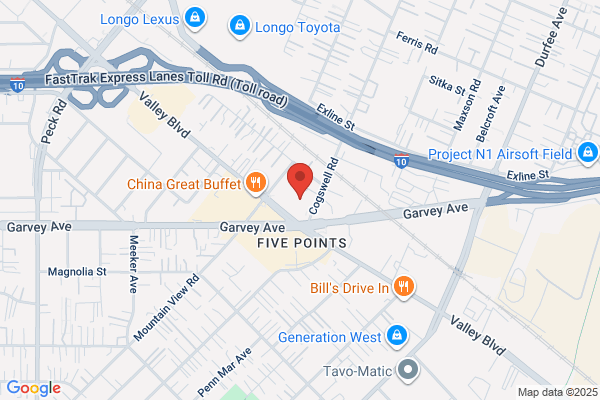 Advance Auto Parts