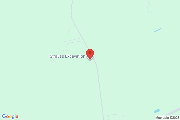 Strauss Enterprises