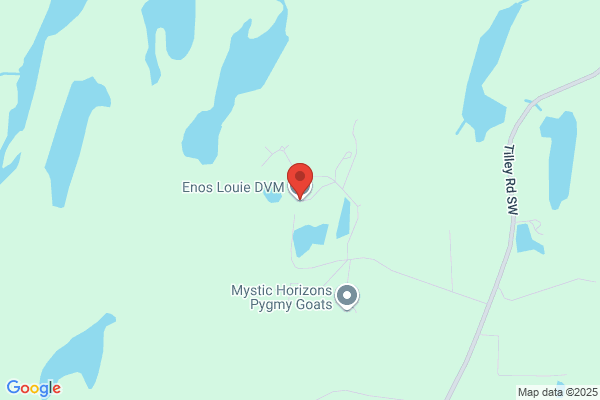 Enos Louie Dr DVM