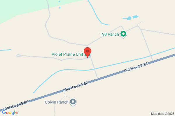 Violet Prairie Enterprises