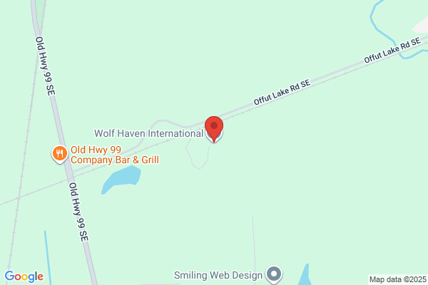 Wolf Haven International