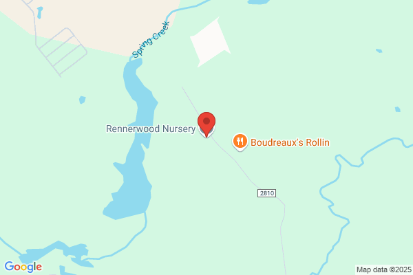 Rennerwood Nursery